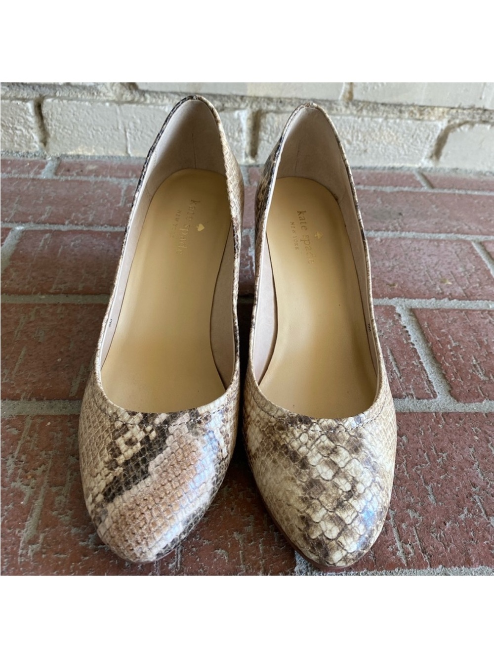 kate spade Beige & Brown Snake-Print Pumps